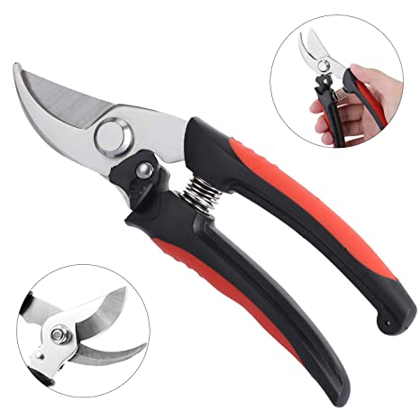 Besel Pruning Shears