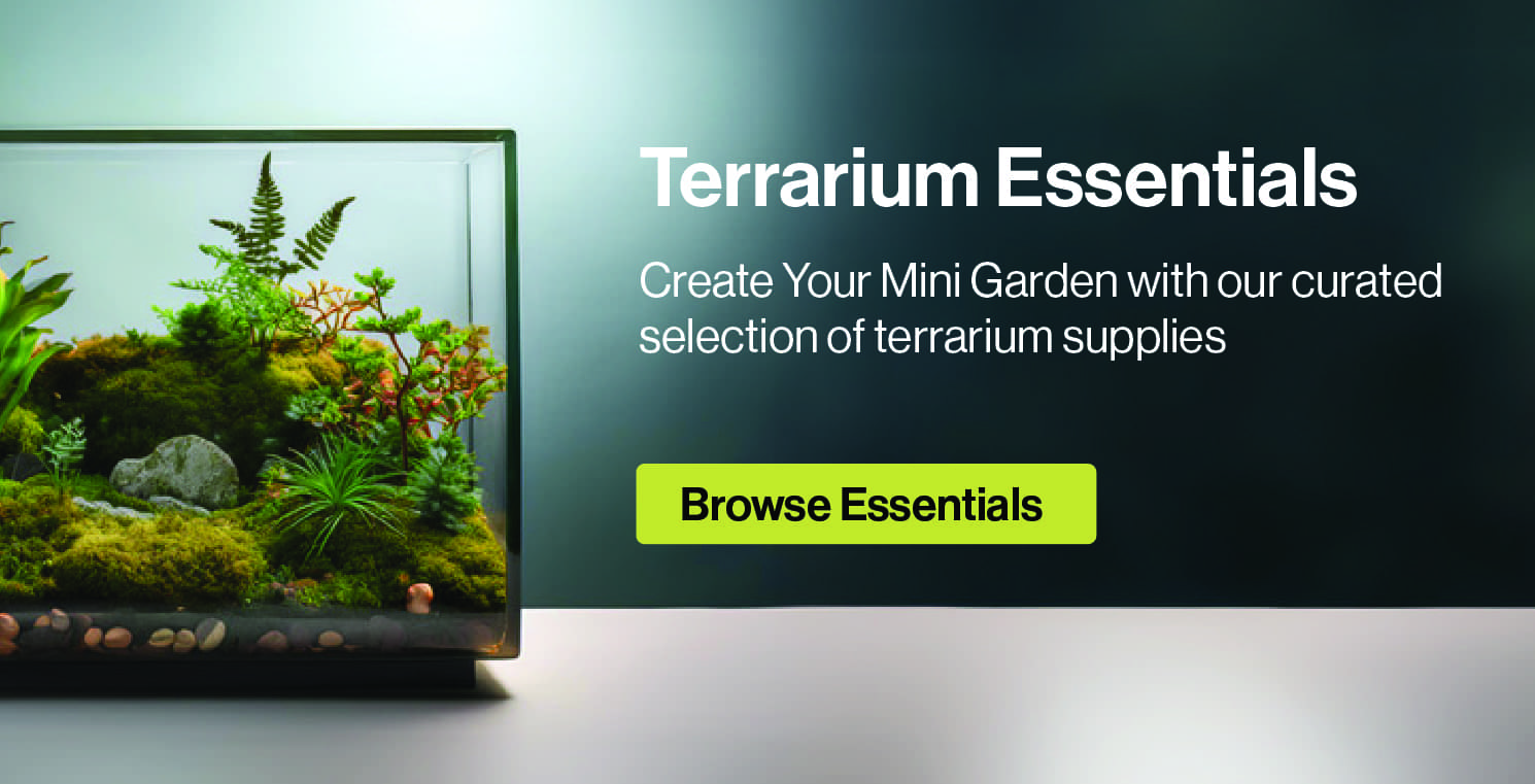 Terrarium Essentials