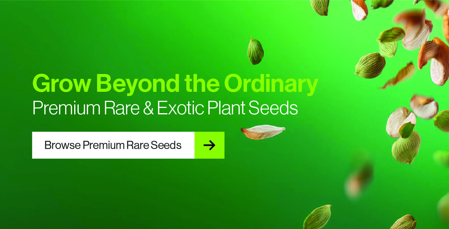 Exotic Seeds