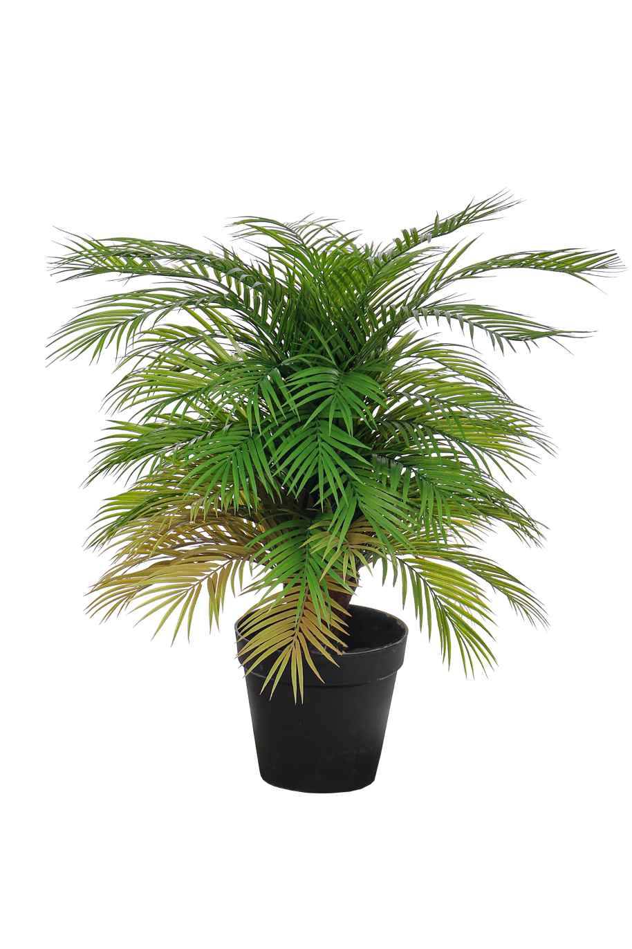 Areca Palm Bushy Artificial