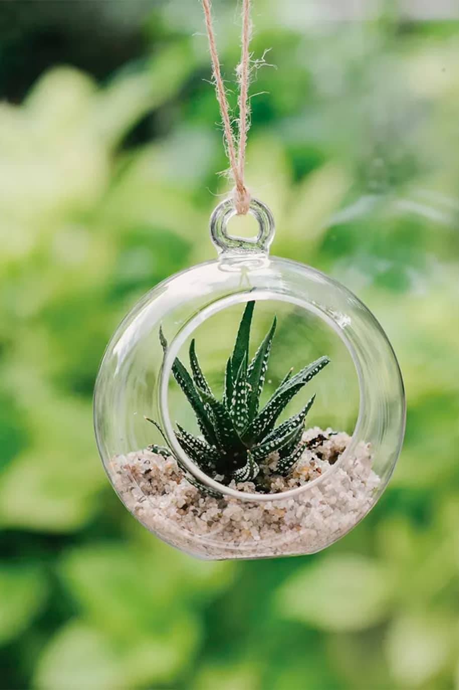 Glass Globe Hanging Mini