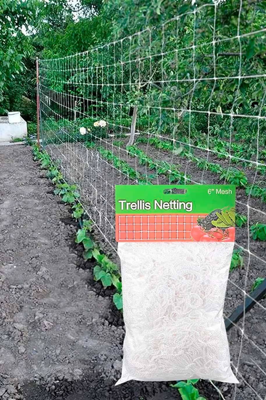 Trellis netting outlet