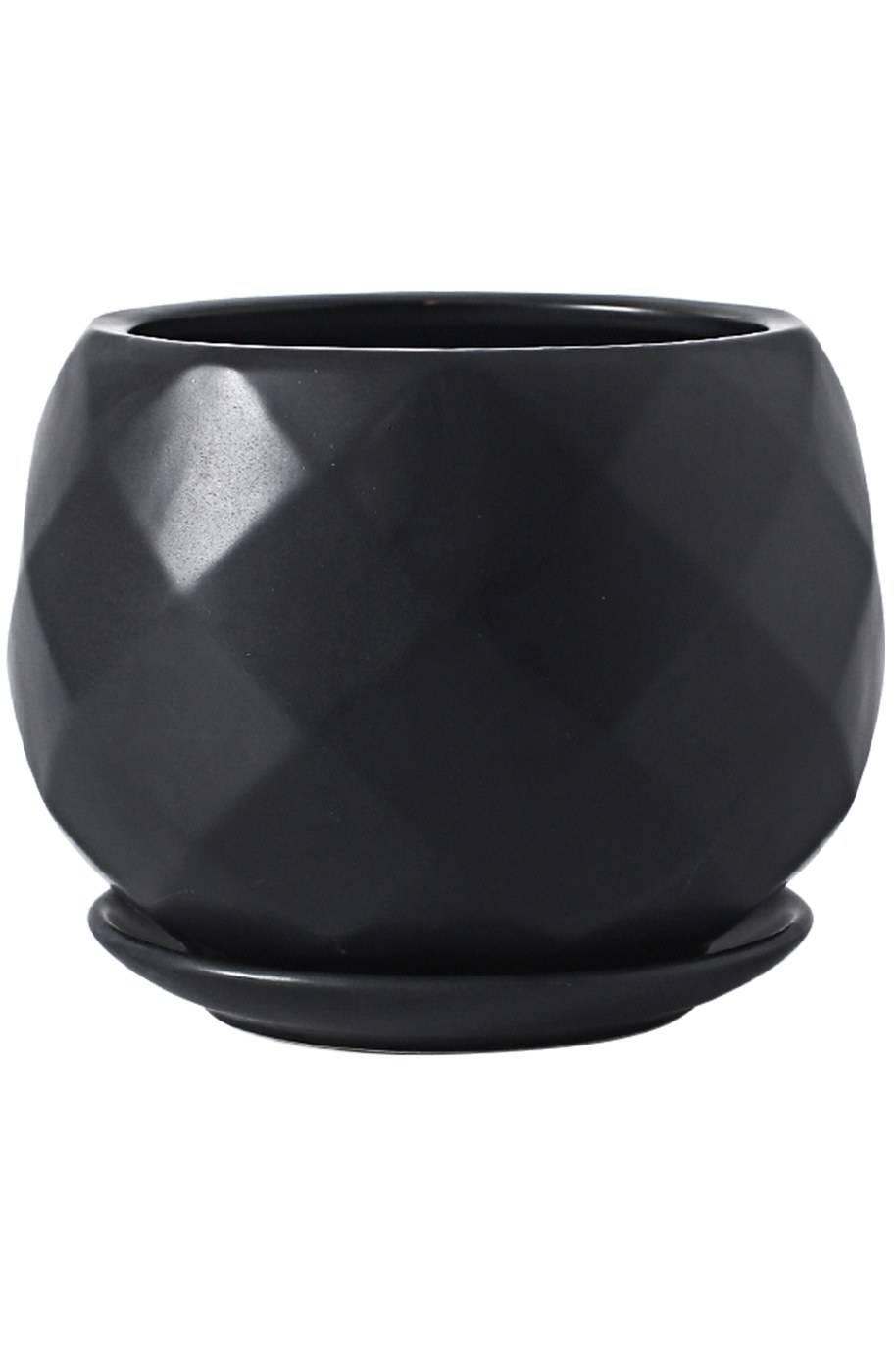 Vaze Black Pot