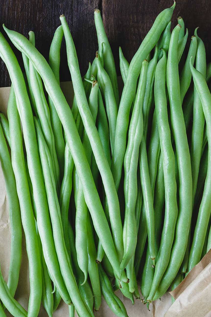 Bush Blue Lake Beans Seeds