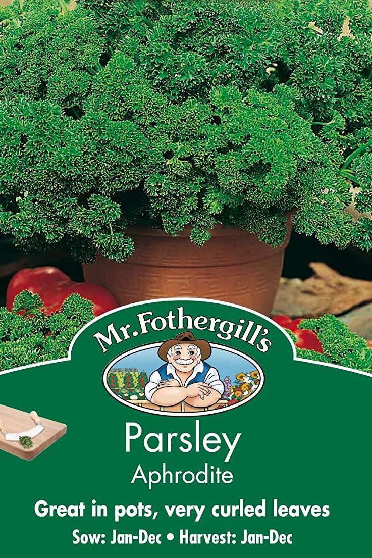 Parsley Seeds