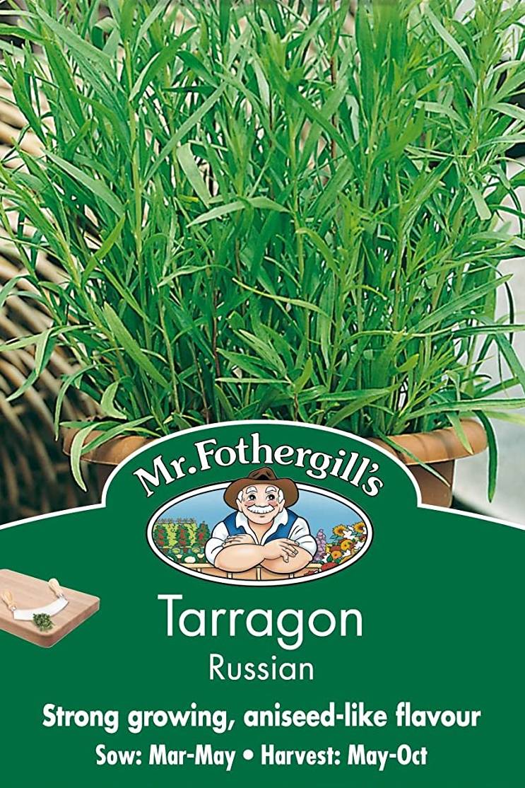 Tarragon Seeds