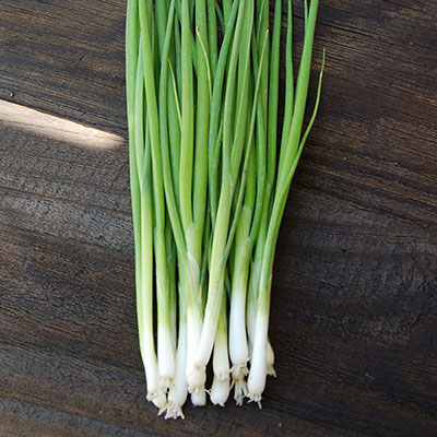White Bunching Onion Seeds
